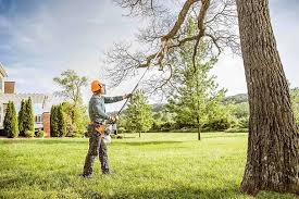 Best Arborist Consultation Services  in South Chicago Heights, IL